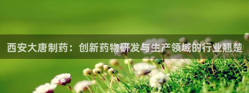 ag九游老哥俱乐部：西安大唐制药：创新药物研发与生产领域的行业翘楚