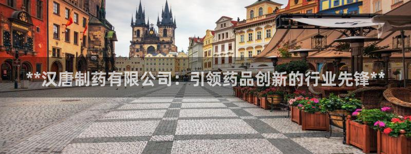 九游会老哥俱乐部交流社区：**汉唐制药有限公司：引领药品创新的行业先锋**