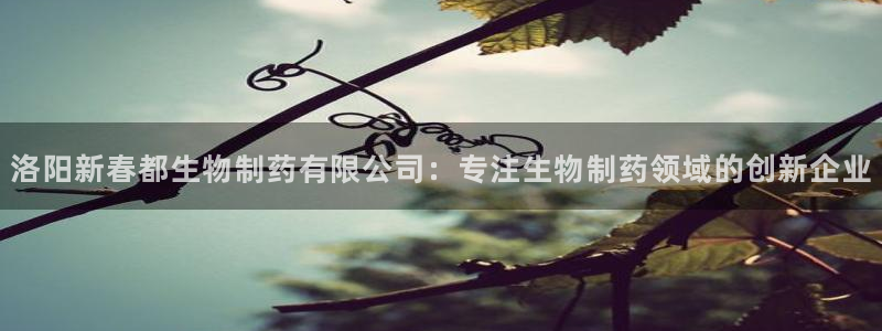 九游会老哥必备的交流社区：洛阳新春都生物制药有限公司：专注生物制药领域的创新企业