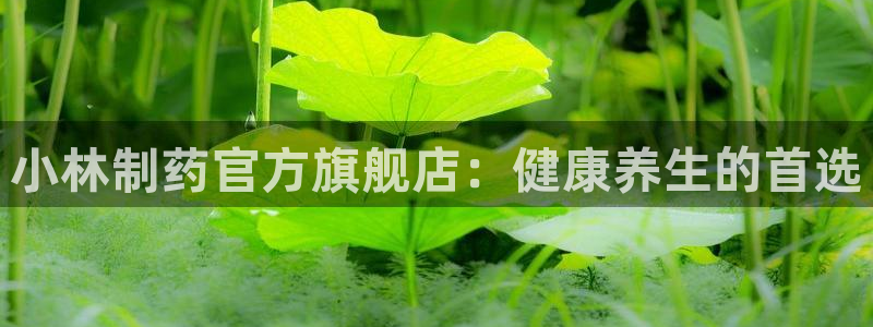 九游老哥俱乐部登录：小林制药官方旗舰店：健康养生的首选