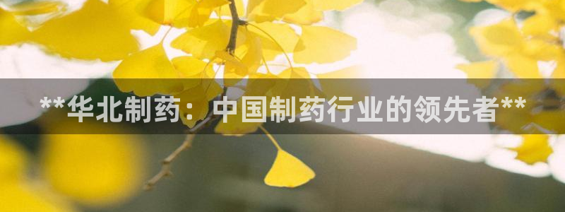 九游会老哥俱乐部必备的交流社区：**华北制药：中国制药行业的领先者**
