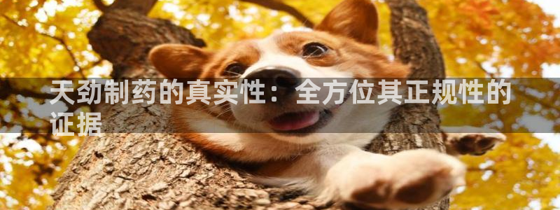 ag九游会老哥：天劲制药的真实性：全方位其正规性的
证据
