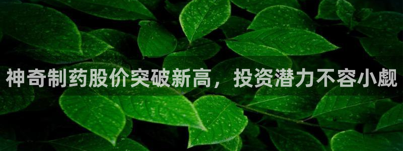 九游老哥俱乐部登录：神奇制药股价突破新高，投资潜力不容小觑