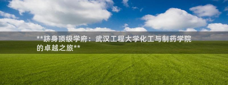 九游会老哥俱乐部官网首页：**跻身顶级学府：武汉工程大学化工与制药学院
的卓越之旅**