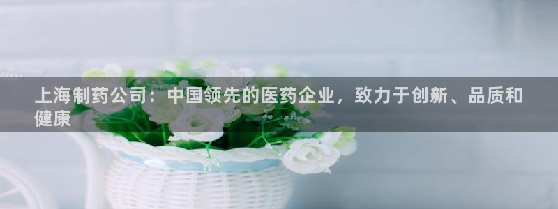 九游会老哥俱乐部官网首页：上海制药公司：中国领先的医药企业，致力于创新、品质和
健康