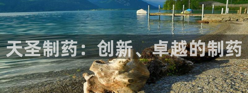 九游老哥俱乐部官网登录不了：天圣制药：创新、卓越的制药