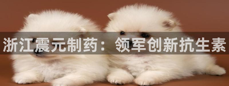 九游会老哥俱乐部必备的交流社区论坛：浙江震元制药：领军创新抗生素
