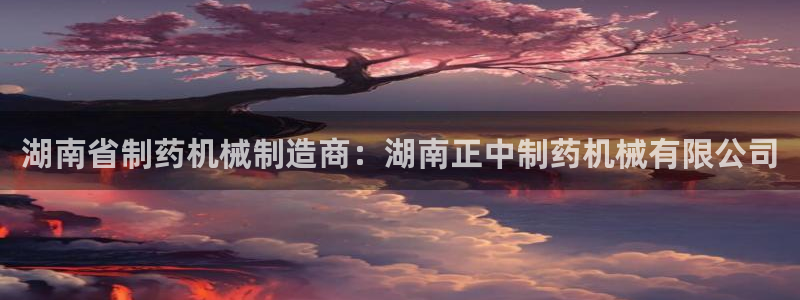 ag九游老哥俱乐部：湖南省制药机械制造商：湖南正中制药机械有限公司