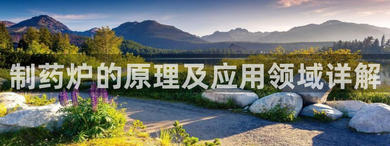 九游会老哥俱乐部论坛版：制药炉的原理及应用领域详解