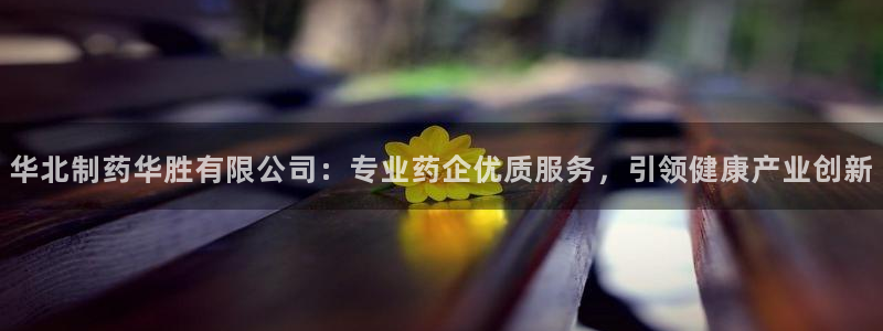 九游会老哥俱乐部交流社区：华北制药华胜有限公司：专业药企优质服务，引领健康产业创新