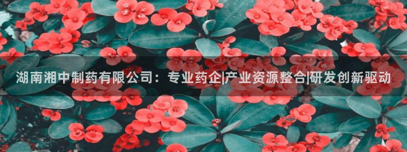 九游会老哥必备的交流社区：湖南湘中制药有限公司：专业药企|产业资源整合|研发创新驱动