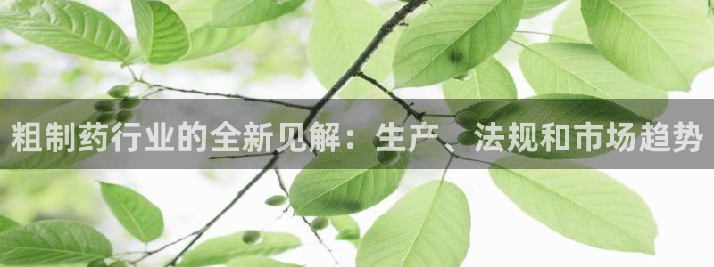九游会老哥俱乐部论坛版