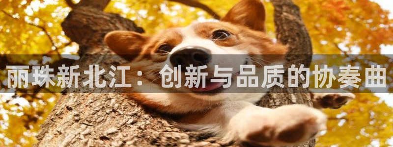 九游会老哥俱乐部必备的交流社区论坛