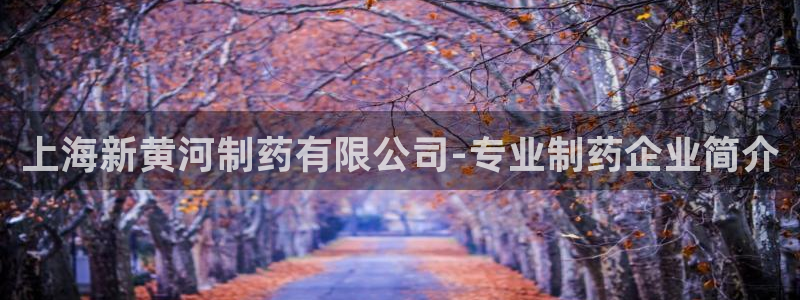 九游会老哥俱乐部论坛版：上海新黄河制药有限公司-专业制药企业简介