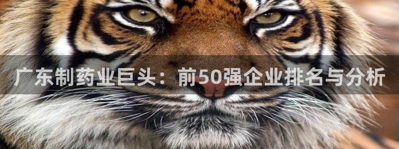 九游会老哥俱乐部官网首页论坛：广东制药业巨头：前50强企业排名与分析