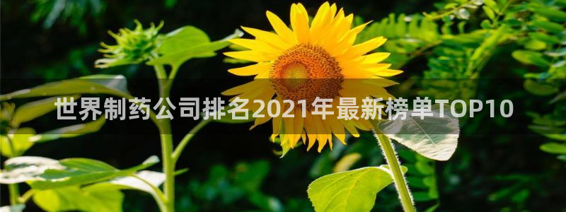 九游会老哥俱乐部论坛版：世界制药公司排名2021年最新榜单TOP10