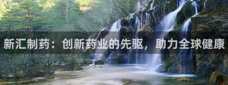 ag九游会老哥：新汇制药：创新药业的先驱，助力全球健康