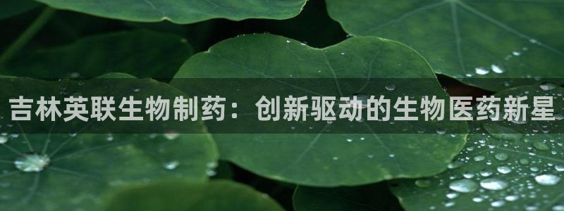 ag九游会老哥：吉林英联生物制药：创新驱动的生物医药新星