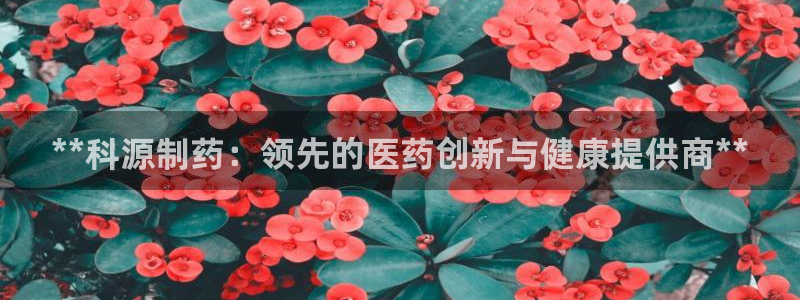 老哥俱乐部是干什么的啊：**科源制药：领先的医药创新与健康提供商**