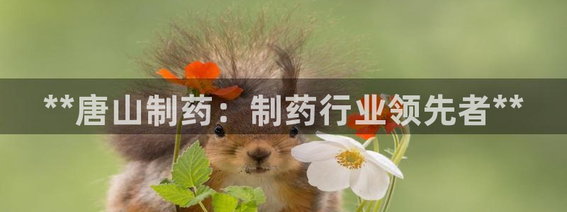 ag九游老哥俱乐部：**唐山制药：制药行业领先者**