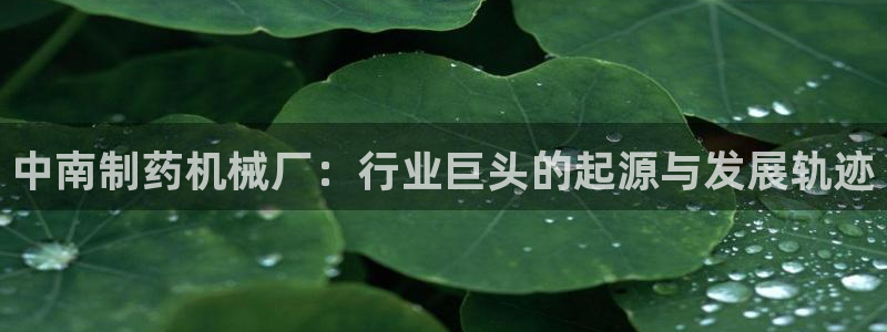 9游会老哥俱乐部
