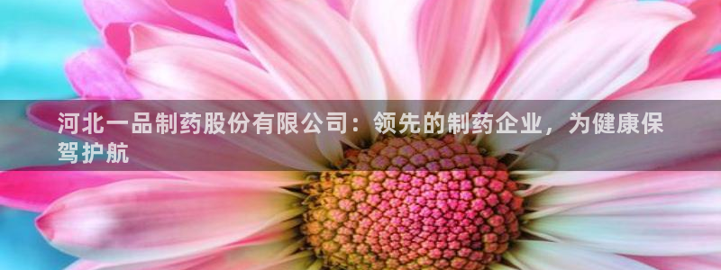 九游会老哥俱乐部官网首页论坛：河北一品制药股份有限公司：领先的制药企业，为健康保
驾护航