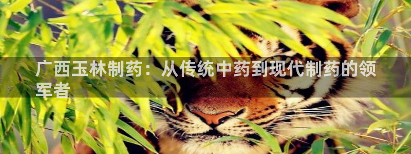 九游老哥俱乐部官网登录不了：广西玉林制药：从传统中药到现代制药的领
军者