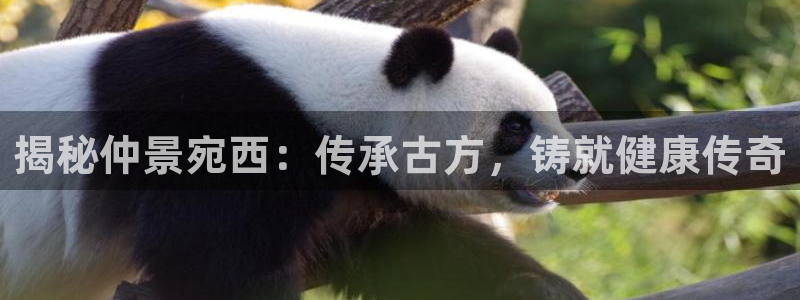 老哥吧九游会下架吗：揭秘仲景宛西：传承古方，铸就健康传奇