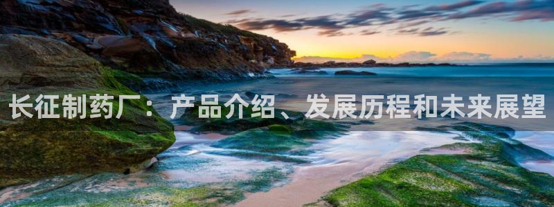 九游老哥俱乐部官网登录：长征制药厂：产品介绍、发展历程和未来展望