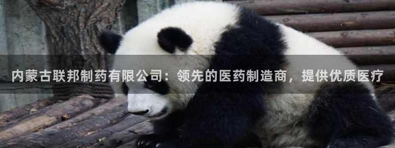 九游会老哥俱乐部官网首页：内蒙古联邦制药有限公司：领先的医药制造商，提供优质医疗
