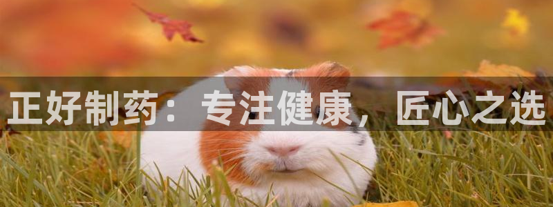 九游老哥俱乐部官网登录不了：正好制药：专注健康，匠心之选