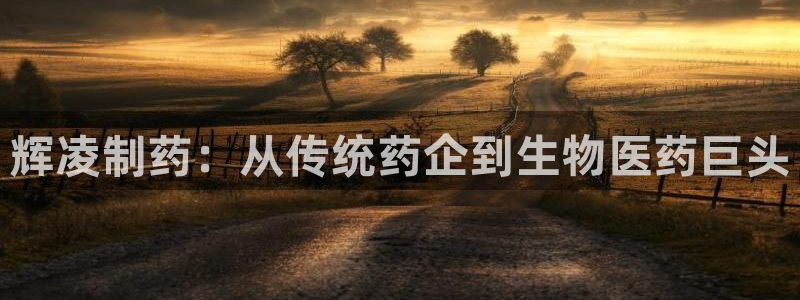 九游老哥俱乐部官网登录网址：辉凌制药：从传统药企到生物医药巨头