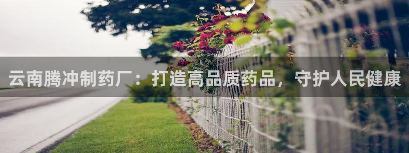 9游会老哥俱乐部：云南腾冲制药厂：打造高品质药品，守护人民健康