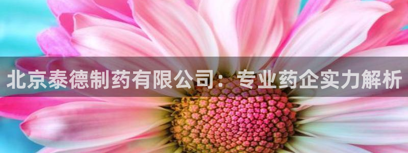 ag九游会老哥：北京泰德制药有限公司：专业药企实力解析