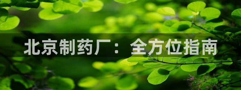 九游老哥俱乐部官网登录入口：北京制药厂：全方位指南