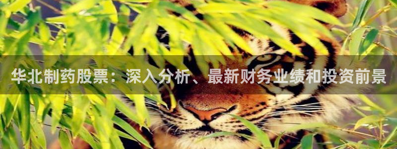 老哥俱乐部是干什么的啊：华北制药股票：深入分析、最新财务业绩和投资前景