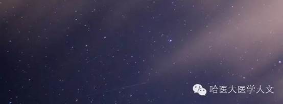 说明: 9.webp.jpg